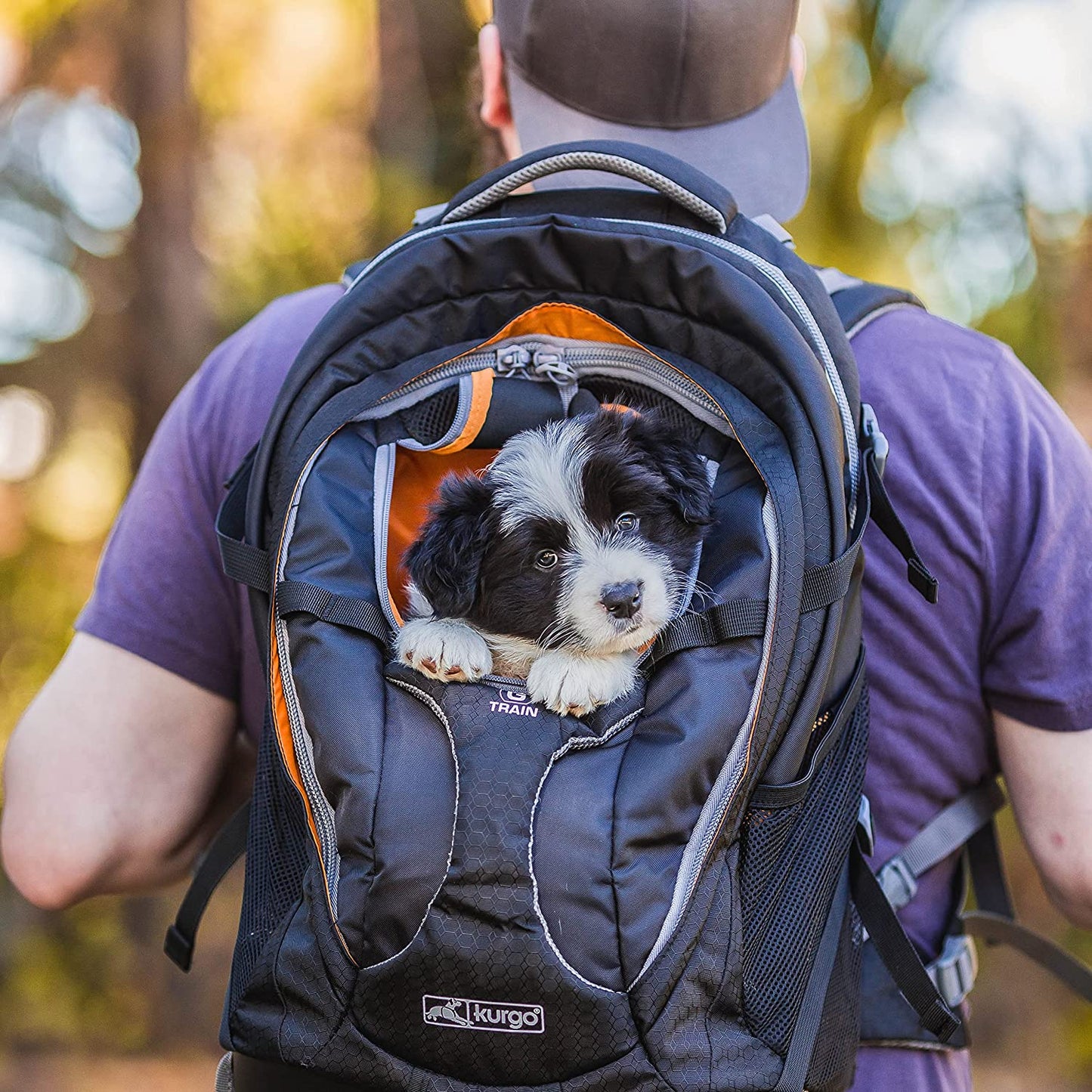 G-Train Dog Carrier Backpack - Comfortable Travel Bag for Pets up to 25 Lbs - Waterproof Bottom - Multi-Compartment Pack - Dog Hiking Gear - Rugged Adventure Backpack - Ink Blue